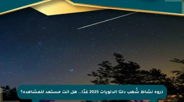 ذروة نشاط شُهب دلتا الدلويات 2025 غدًا.. هل أنت مستعد للمشاهدة؟